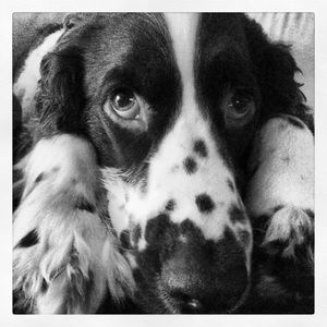 Meet your Posher, Martha